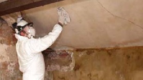 removing mould from walls